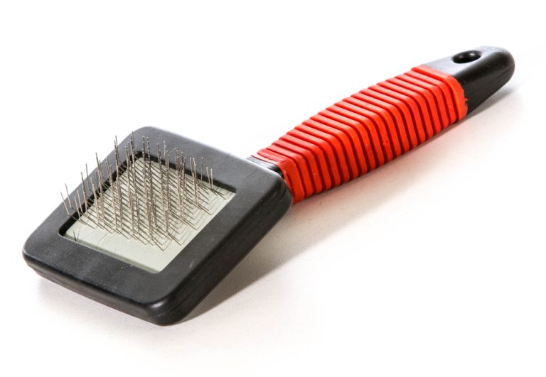 12 Best Brushes for Goldendoodle Dogs